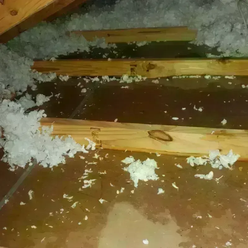 Attic Water Damage in Erick, OK