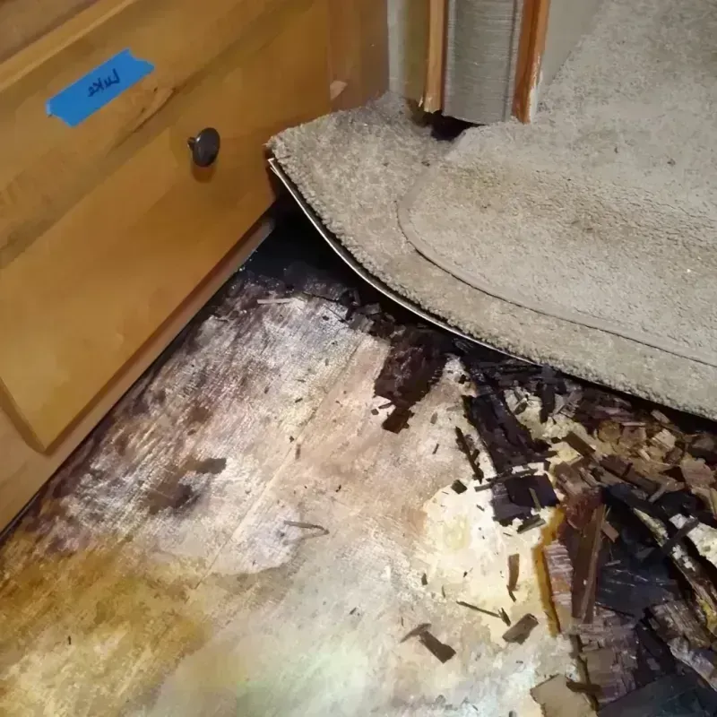 Wood Floor Water Damage in Erick, OK